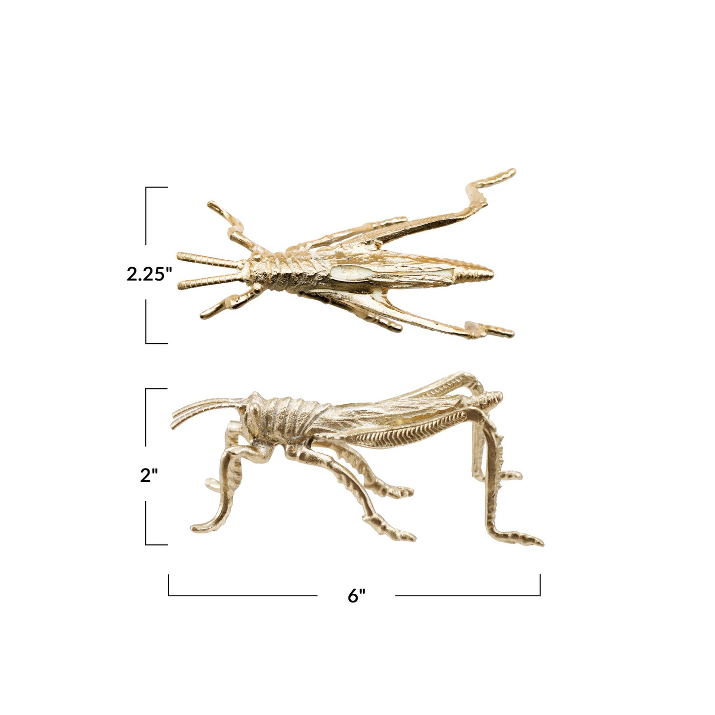 PEWTER GRASSHOPPER, GOLD FINISH