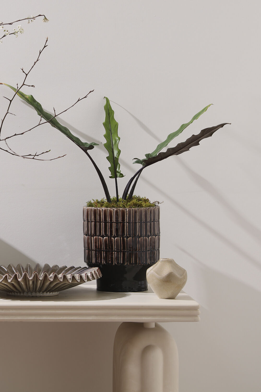 BROWER POT