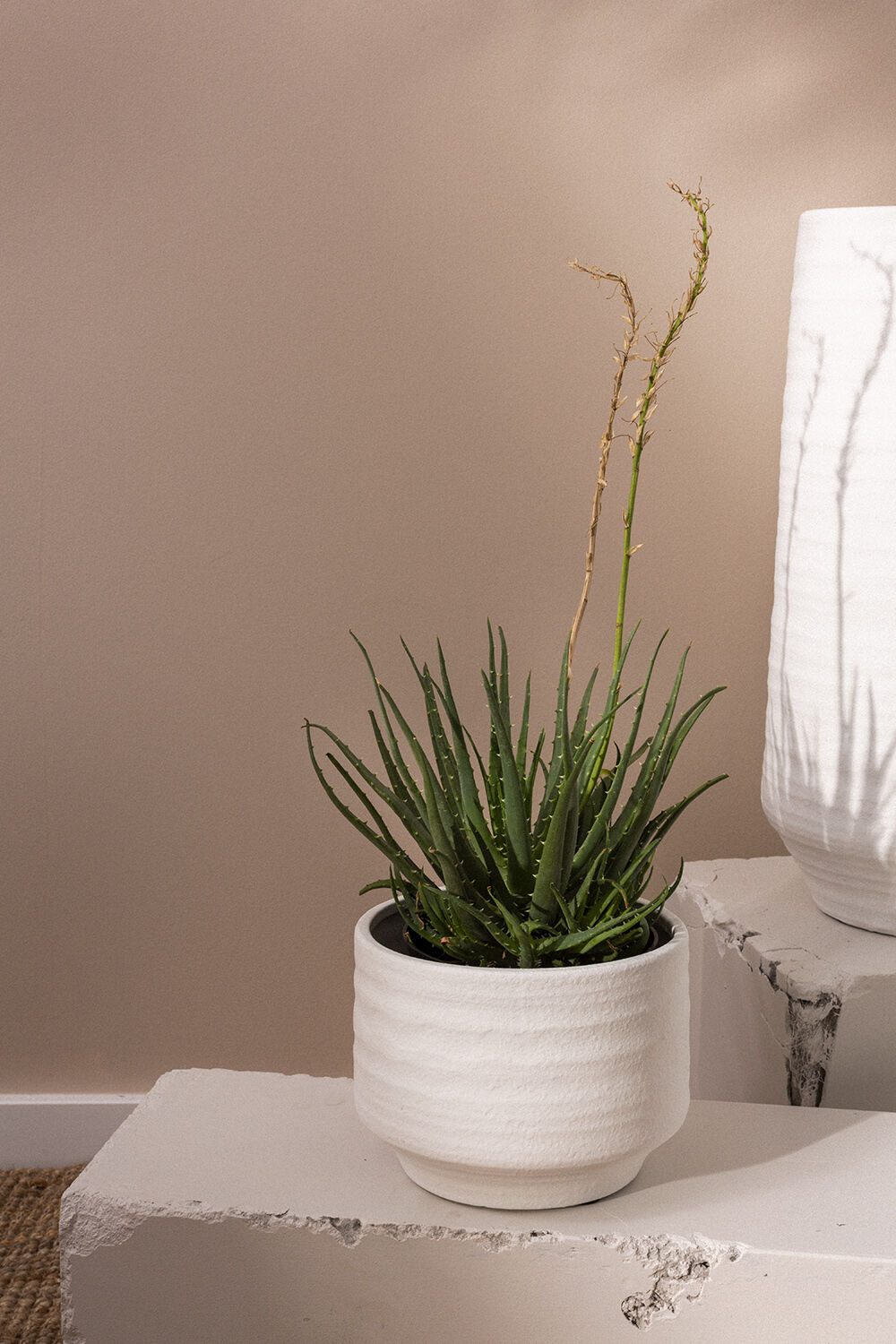 VERA MODERN POT MEDIUM