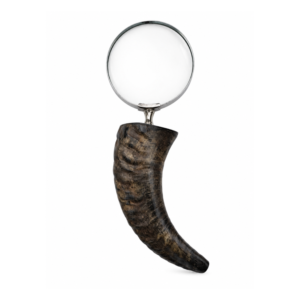 LUPA BROWN HORN