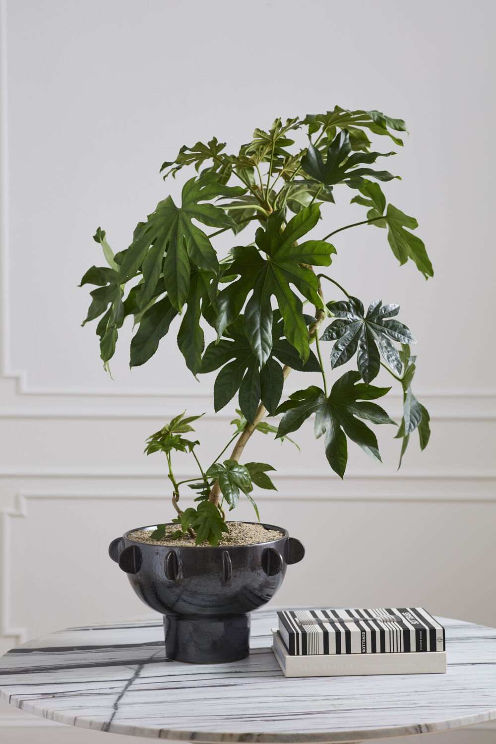 MODERN ORGANIC FOOTED BOWL