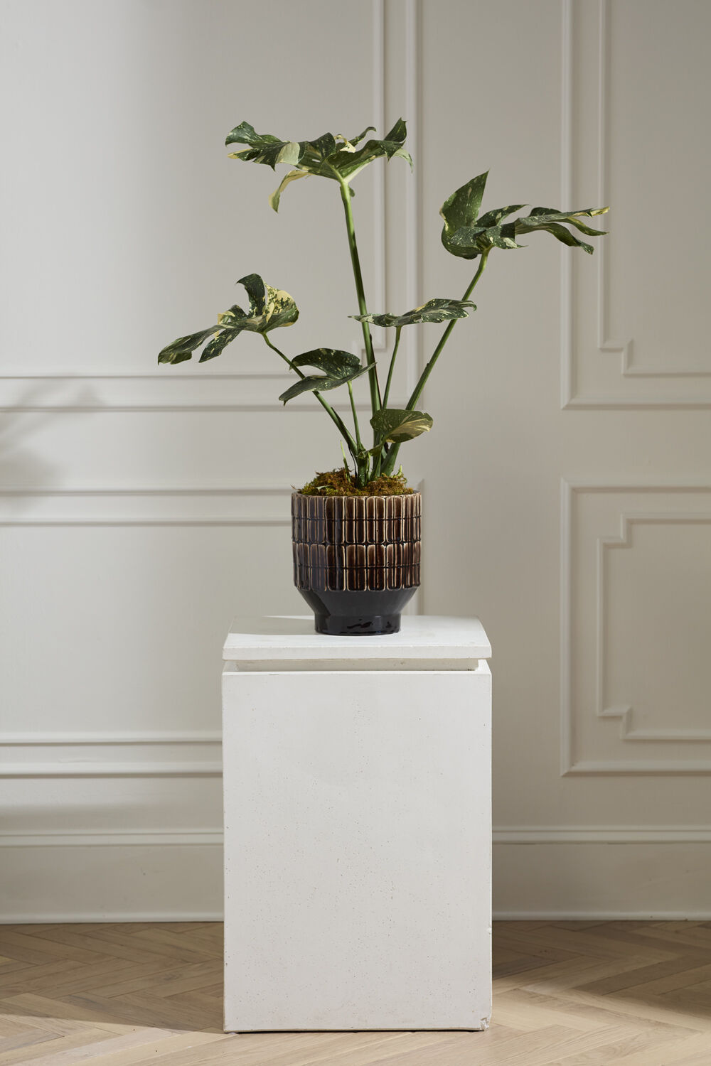 BROWER POT