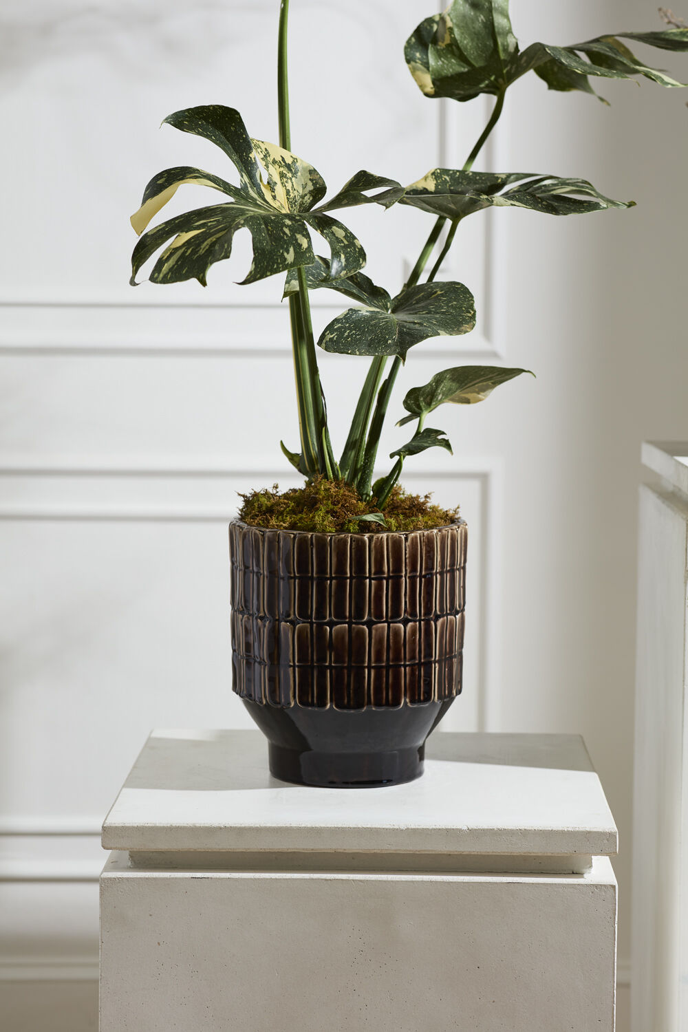 BROWER POT