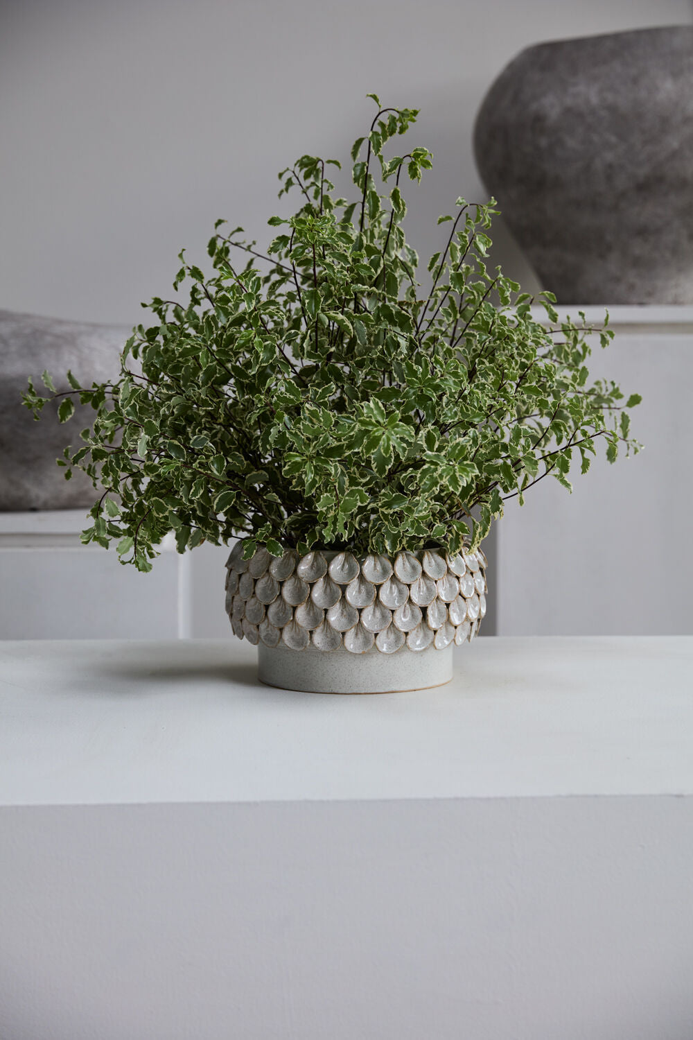 PETAL BOWL
