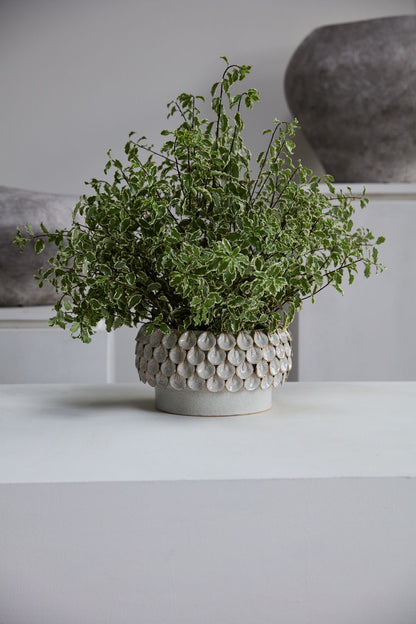 PETAL BOWL