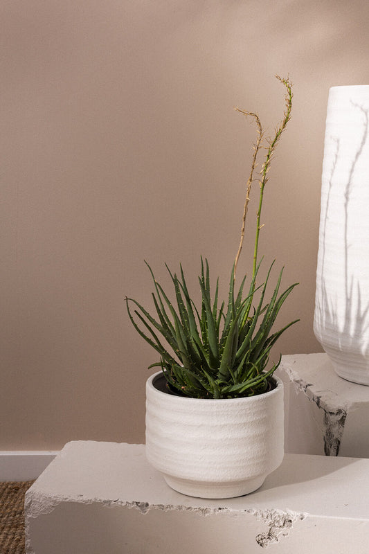 VERA MODERN POT MEDIUM