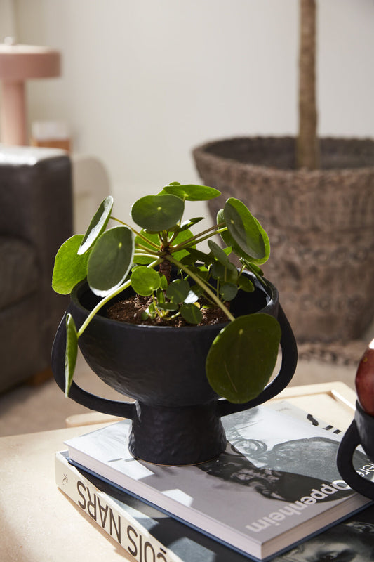 MITLA FOOTED COMPOTE