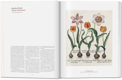 A GARDEN EDEN. MASTERPIECES OF BOTANICAL ILLUSTRATION