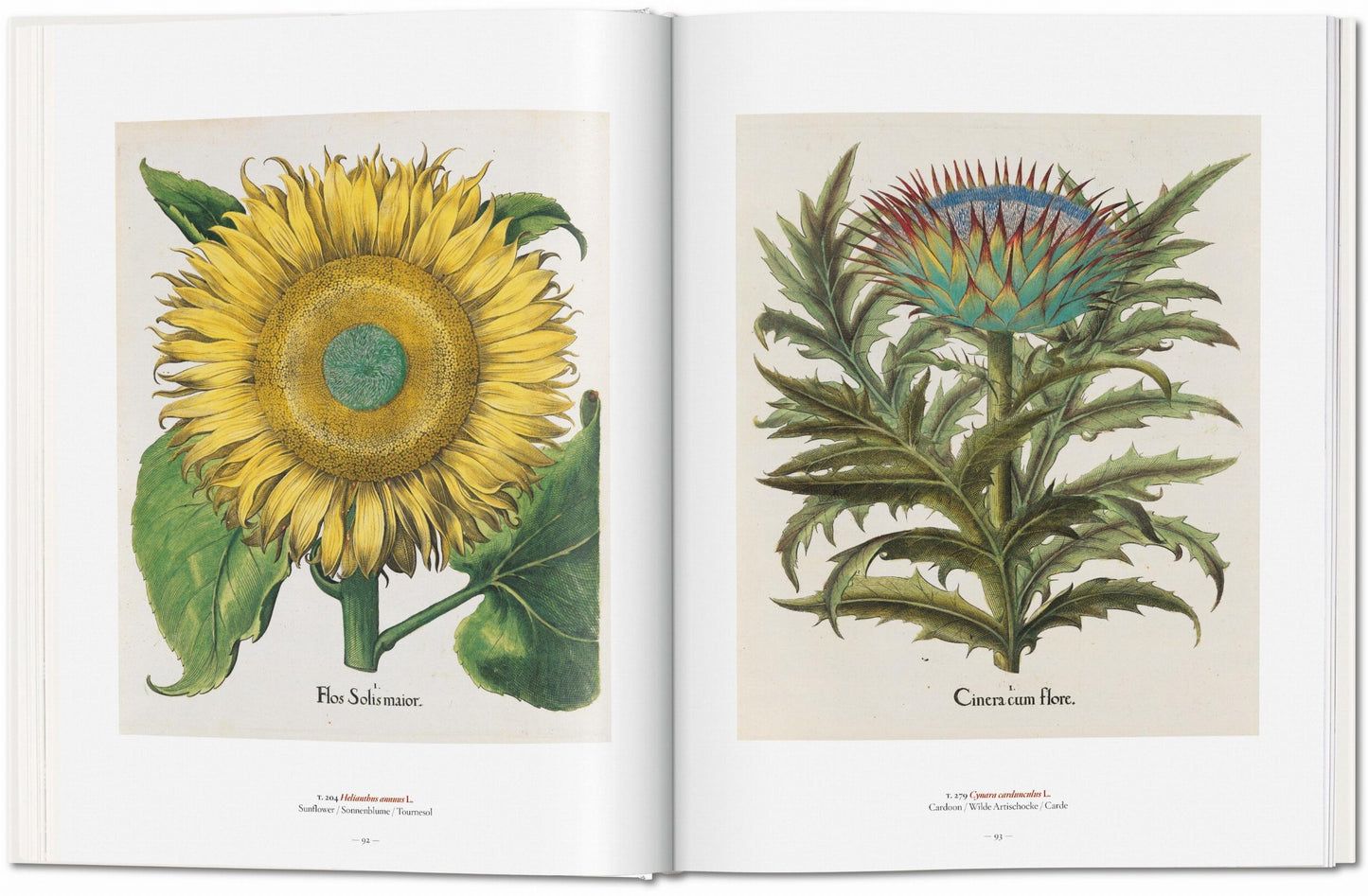 A GARDEN EDEN. MASTERPIECES OF BOTANICAL ILLUSTRATION