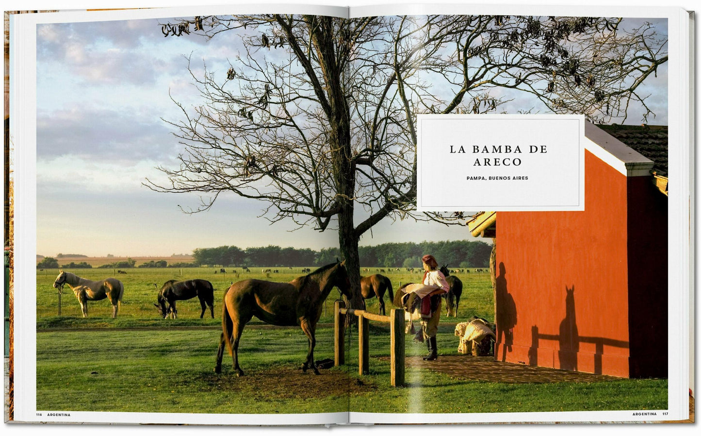 GREAT ESCAPES LATIN AMERICA. THE HOTEL BOOK.