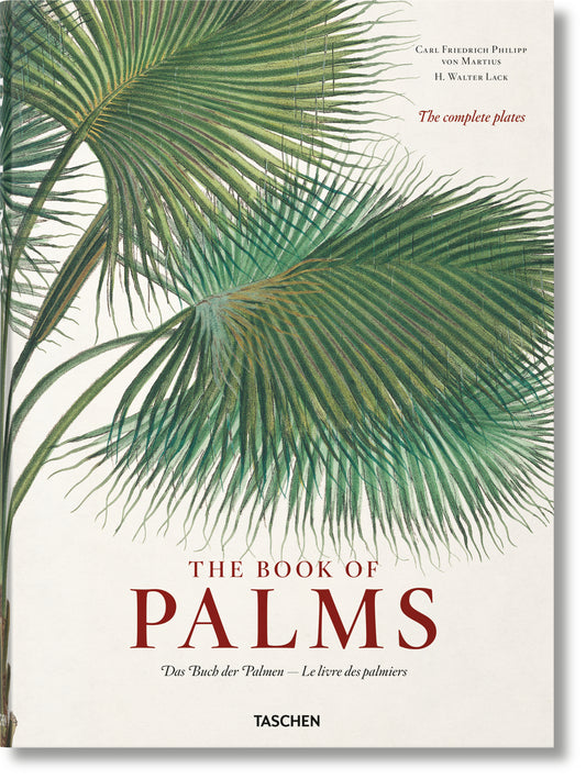 MARTIUS. THE BOOK OF PALMS