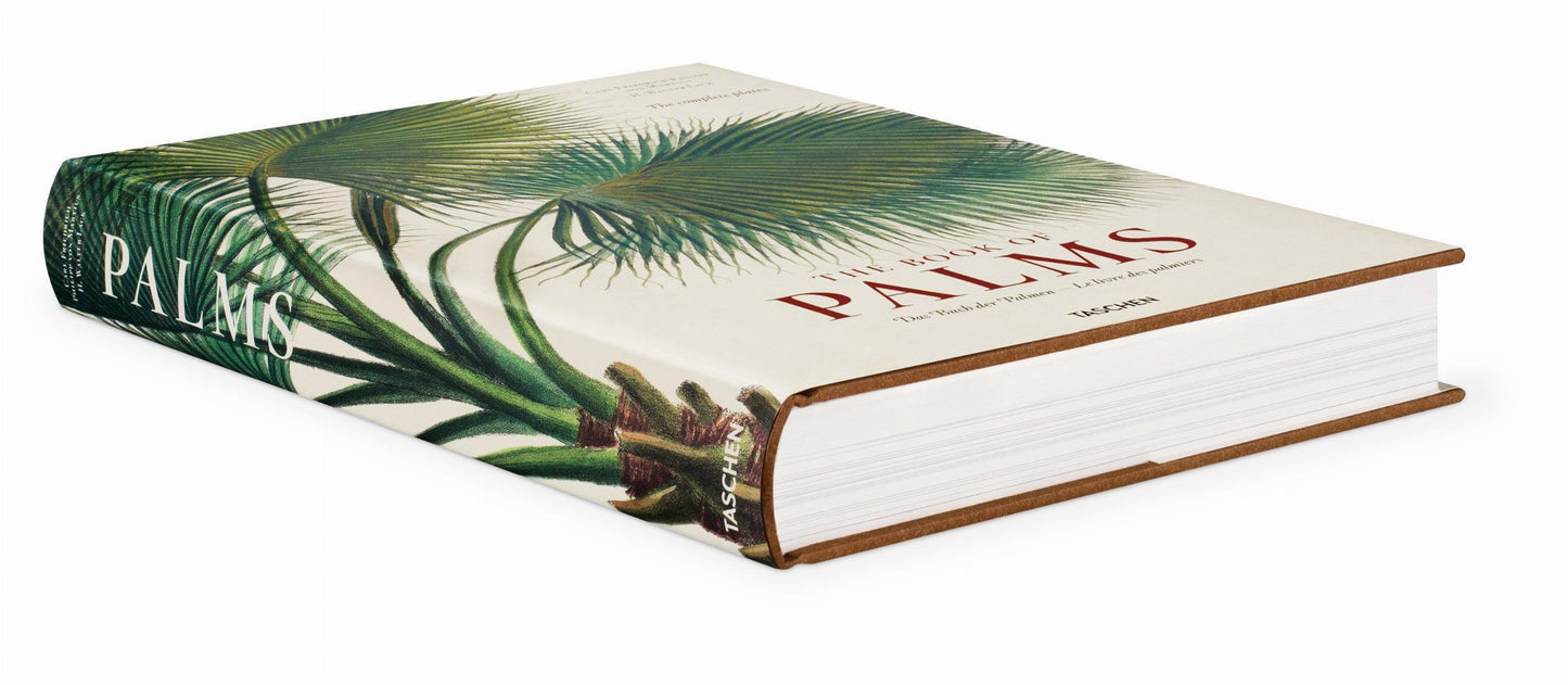 MARTIUS. THE BOOK OF PALMS