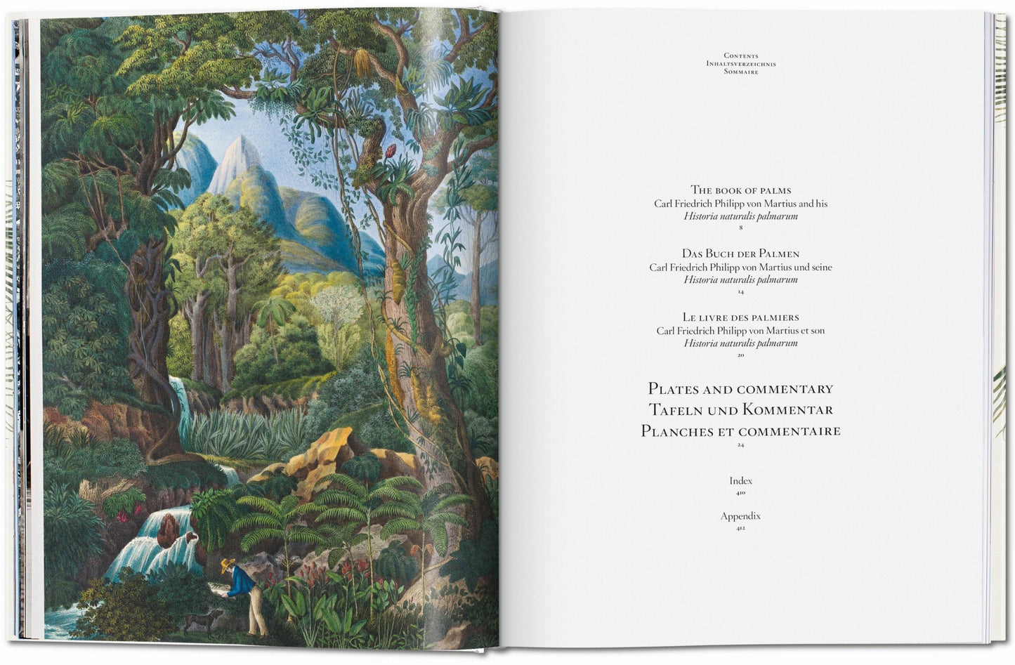 MARTIUS. THE BOOK OF PALMS